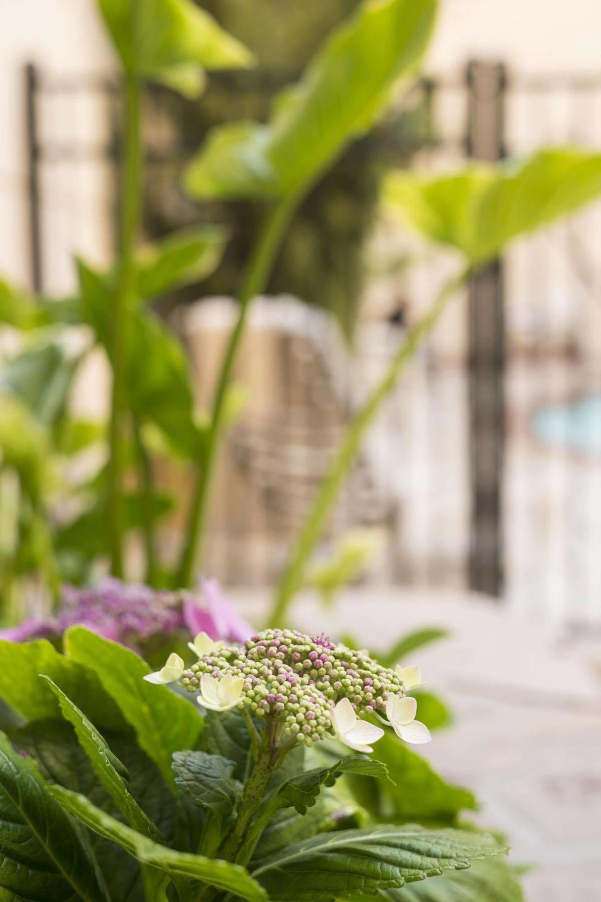 Ayres Hotel Manhattan Beach Hawthorne Ngoại thất bức ảnh
